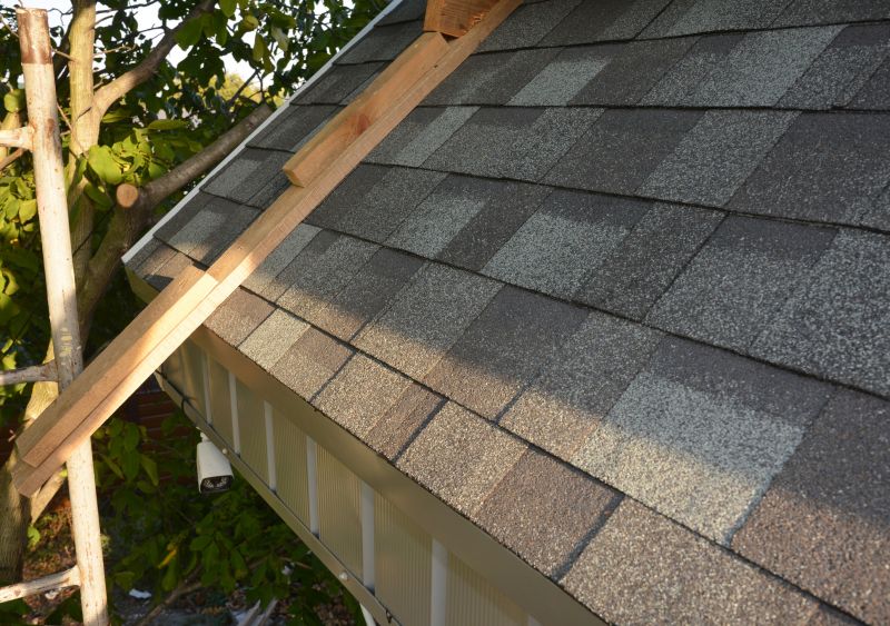 Asphalt Shingles Repair