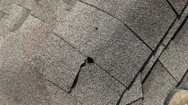 Shingle Repair